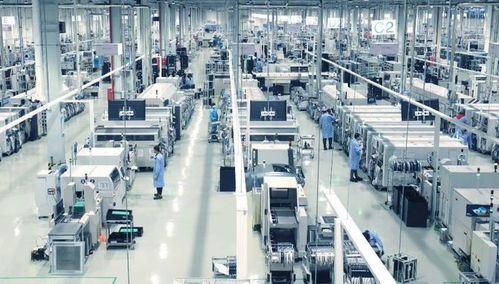 脱钩第一枪 德国企业自断数字服务之路